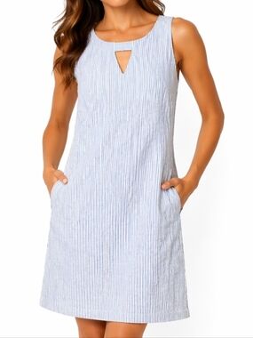 Anne Klein 100% Cotton Seersucker Blue & White Stripe Sleeveless Sheath Dress